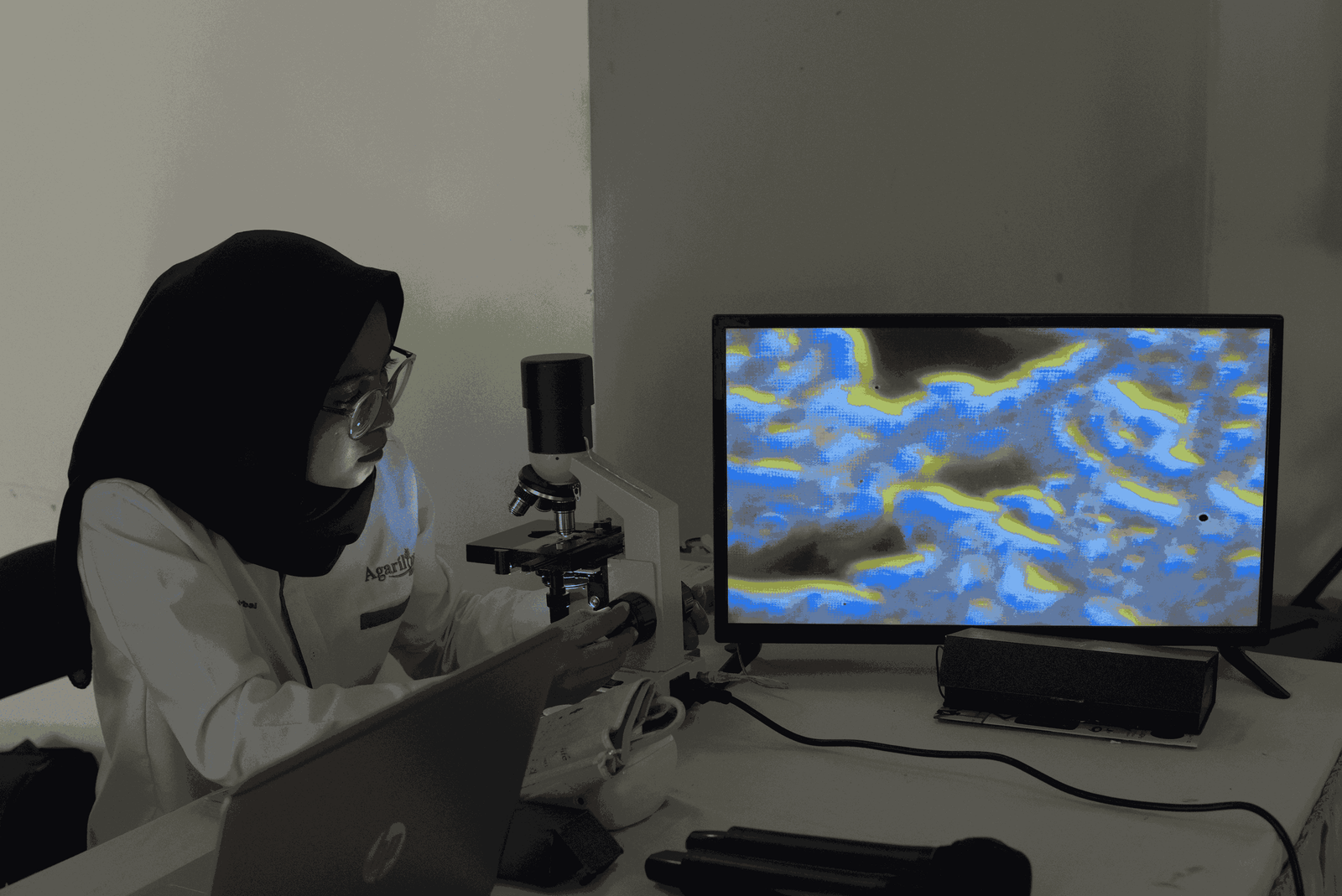 Analisis Sampel Bersama Agarillus di Tulungagung