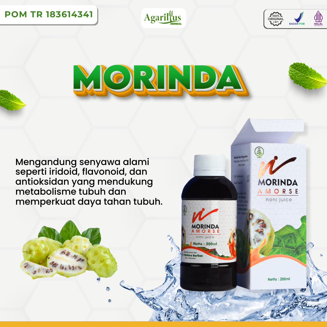 Morinda - Foto 2
