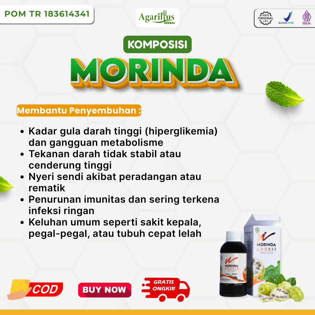 Morinda - Foto 4