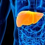 Pantangan, Penyebab dan Gejala Penyakit Liver