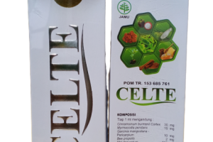 Celte Aktivasi Sel Imun pada Tubuh
