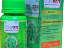 Proren Menghancurkan Batu Urine dengan Segera