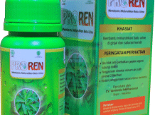 Proren – Penghancur Batu Ginjal