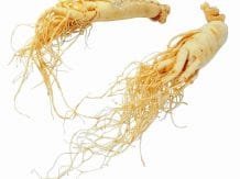 ginseng