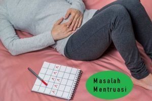 agarillus untuk mentruasi