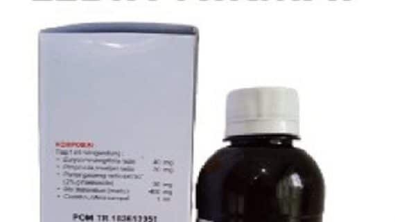 Manfaat Pasak Bumi Sebagai Obat Kuat Herbal
