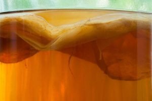 8 Manfaat Probiotik Bagi Kesehatan