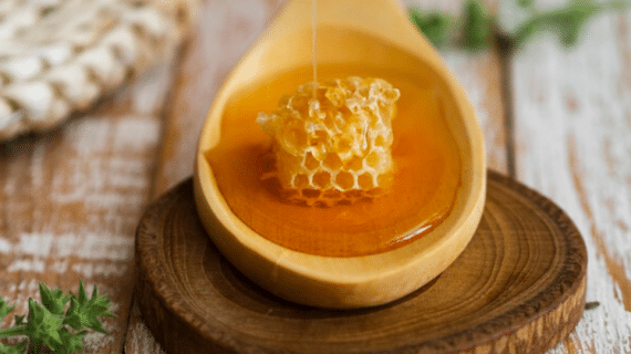 5 Manfaat Propolis Bagi Kesehatan