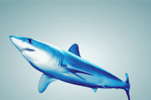 Cara Gampang Meningkatkan Kesuburan Tanpa Khawatir