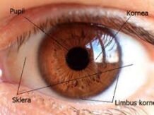 Dampak Gadget pada Kesehatan Mata