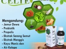Celte Membantu Meringankan Asam Lambung
