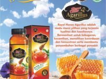 Madu Royal Jelly Madu Super Untuk Kesehatan Anda