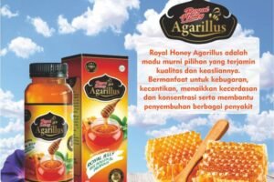 Madu Royal Jelly Madu Super Untuk Kesehatan Anda