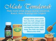 Madu Temulawak Detox Alami Tubuh Anda