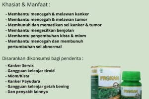 Membantu Menyembuhkan Kanker – PROKAN
