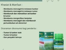 Prokanda Proteksi Kanker Payudara
