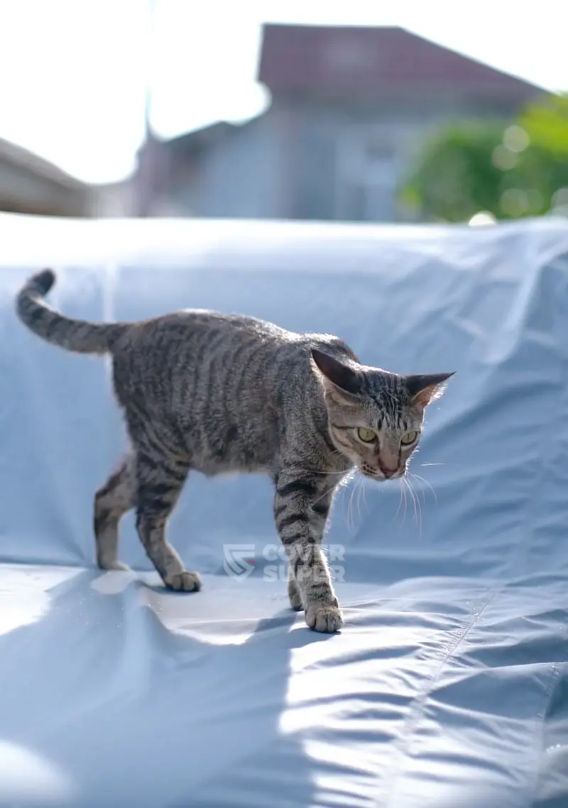 Xtreme-Outdoor-Slider-27-min.webp
